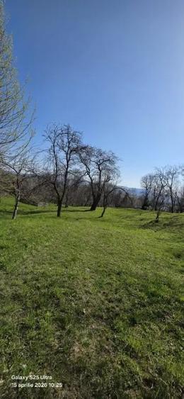 Teren de 2000 mp, în Talea