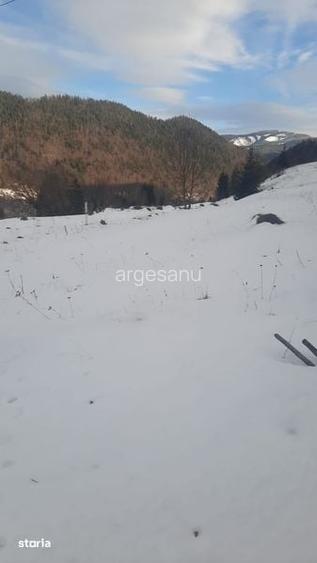 Anexa si cu teren extravilan la munte