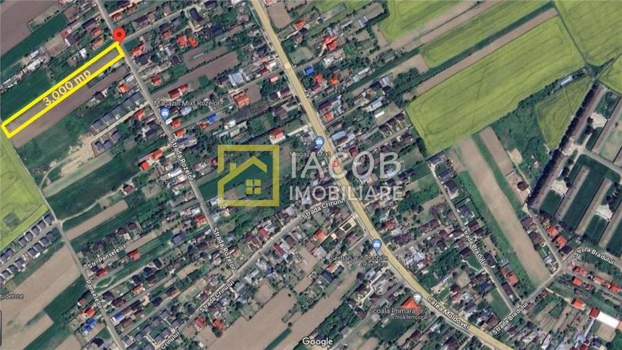 Teren Construcții intravilan de 3000 mp, în Lilieci