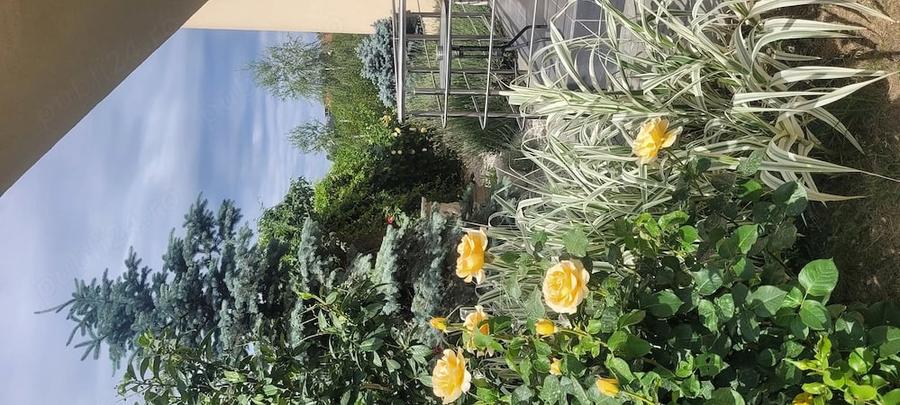 Direct proprietar - apartament cu gradina proprie, parcare privata si acces dublu in zona Dealuri - 6