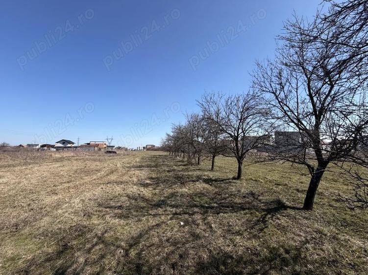 Teren de 8102 mp, în Smeura