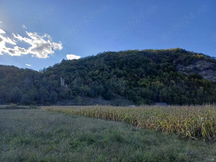 Teren de 2800 mp, în Central