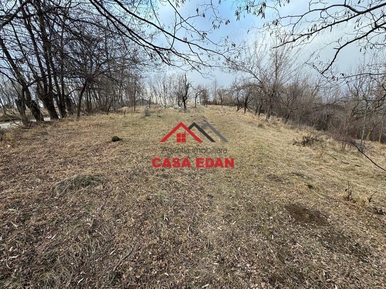 Casă cu Teren 3074 Mp în Cornu