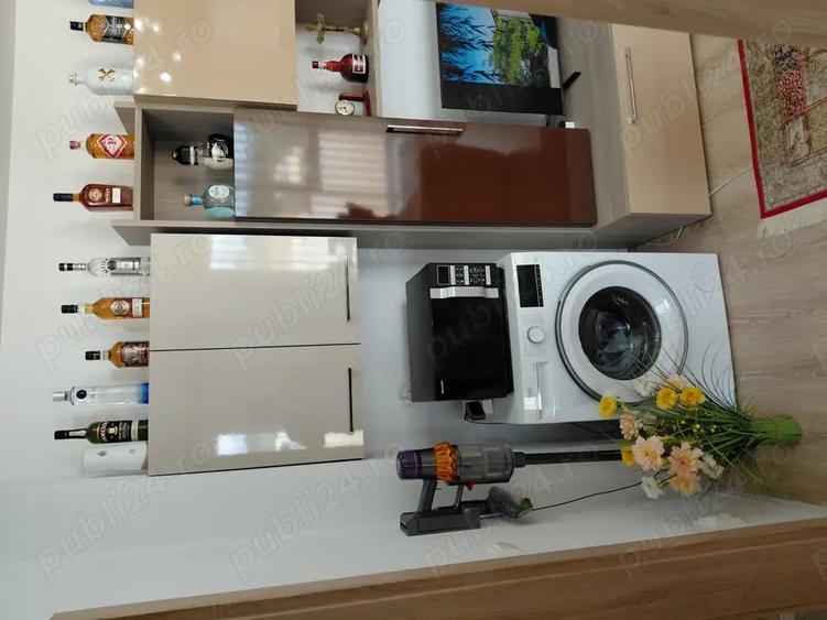Apartament cu 2 camere decomandat în Turnișor