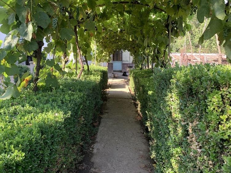 Casă cu 4 camere în Central