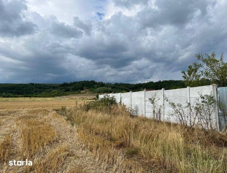 Teren intravilan imprejmuit 1000 mp, total 2550 mp, zona Arginesti - 3