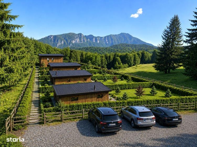 Chalet ECO cu teren propriu | Priveliste Postavarul | Trei Brazi - 4