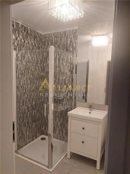 Apartament 2 camere -Curte proprie | Mobilat si utilat | 5 minute Metrou Dimitri - 13