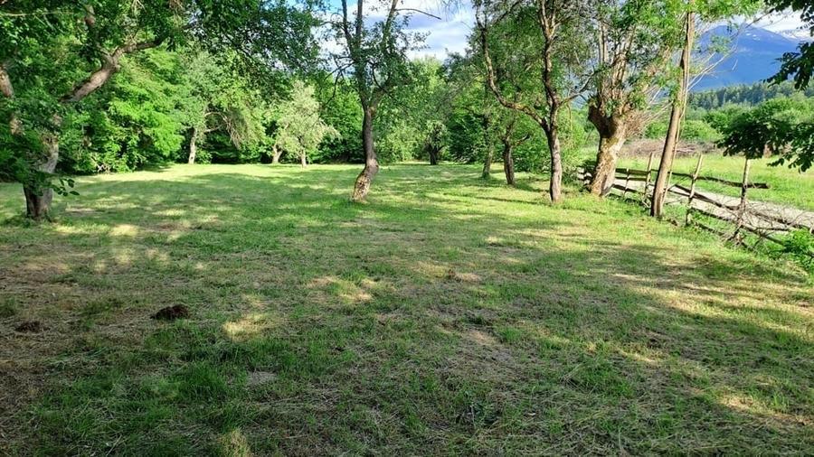 Teren de 3700 mp, în Porumbacu de Sus