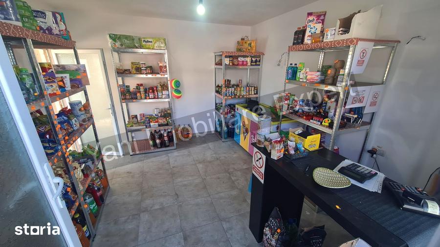 Casă cu 3 camere cu Teren 3877 Mp în Valea Danului