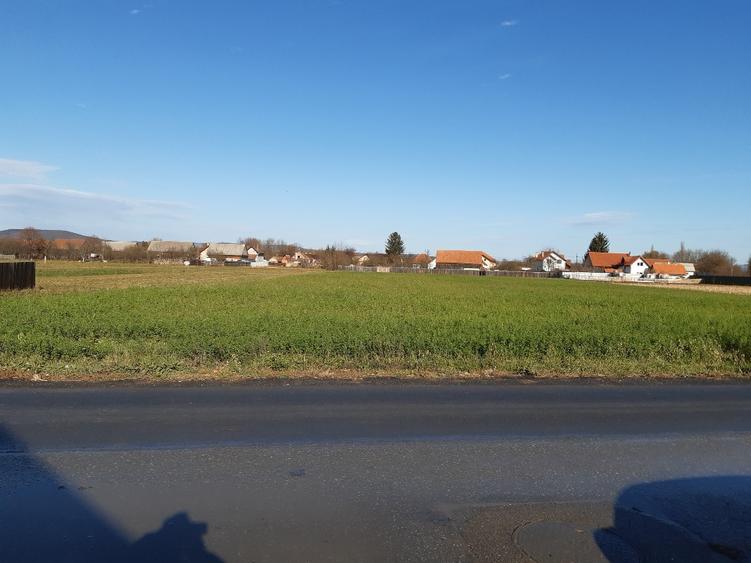Teren Construcții intravilan de 2325 mp, în Triaj