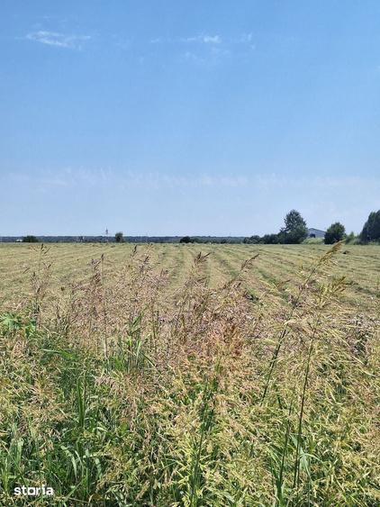 Teren de 23298 mp, în Ciorogârla