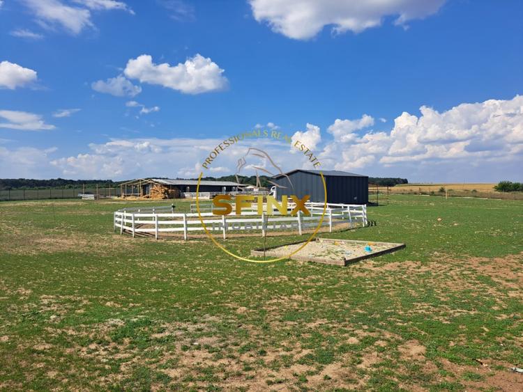 Teren Construcții extravilan de 10577 mp, în Bulbucata