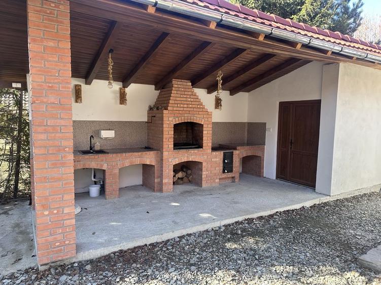 Casa de vacanta - 8