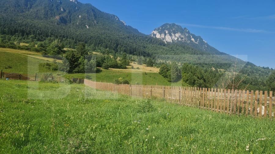 Teren Construcții intravilan de 1004 mp, în Zărnești