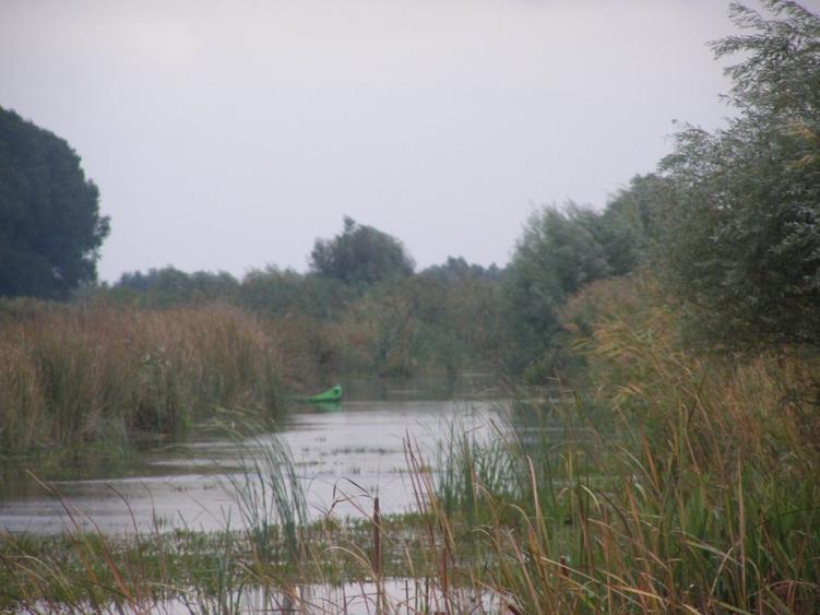 Teren intravilan de 1372 mp, în Sud-Est