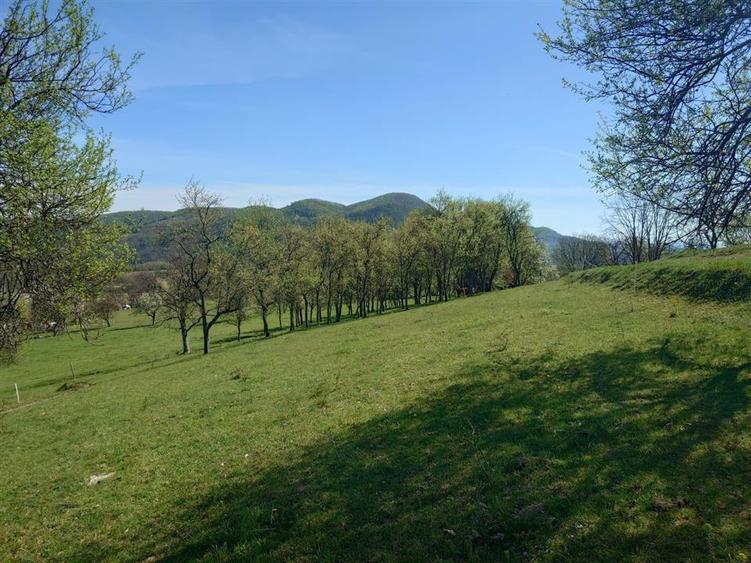 Teren intravilan de 11423 mp, în Luncoiu de Jos