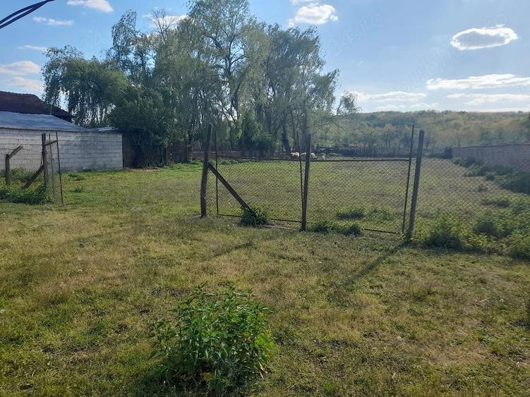 Casă cu 4 camere cu Teren 1600 Mp în Zăgujeni