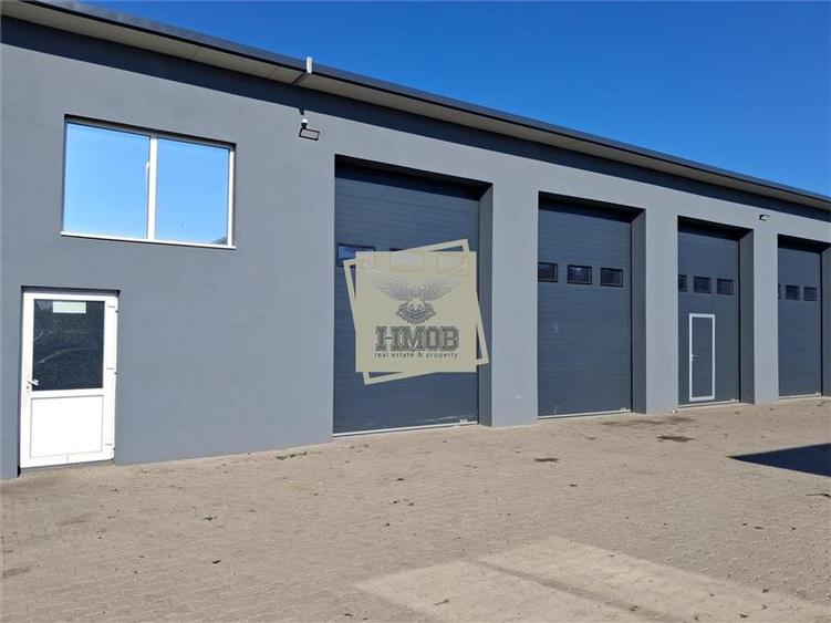 Spațiu industrial, de 300 mp, în Cristian