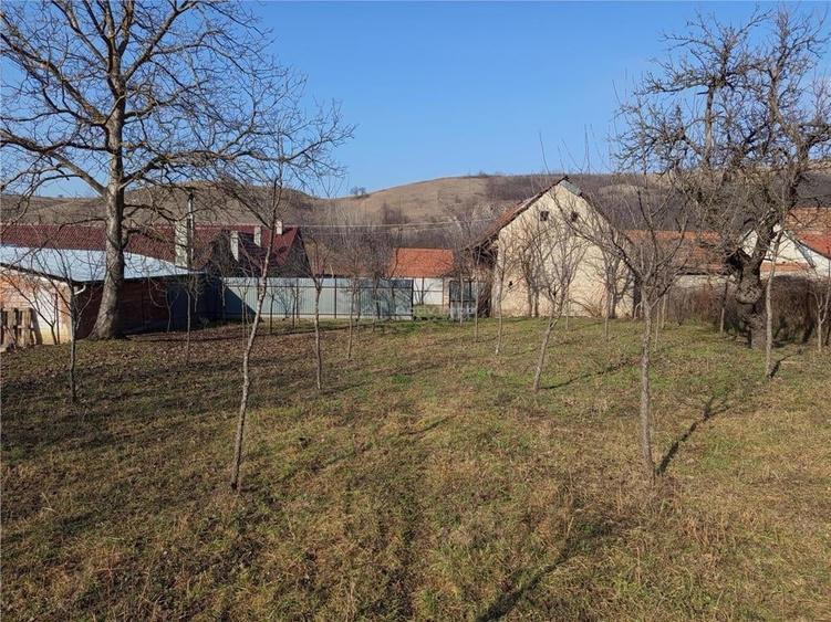Teren de 1800 mp, în Ciclova Română