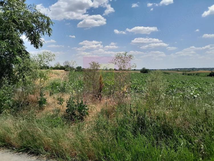 Teren de 16500 mp, în Teișori