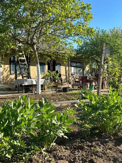 Casă cu Teren 1167 Mp în Băneasa