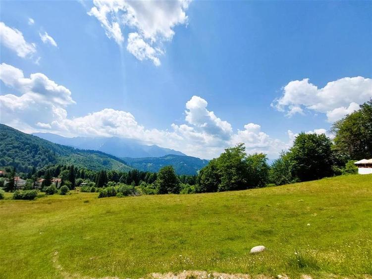 Teren Construcții intravilan de 80000 mp, în Vlădeț - Trei Brazi