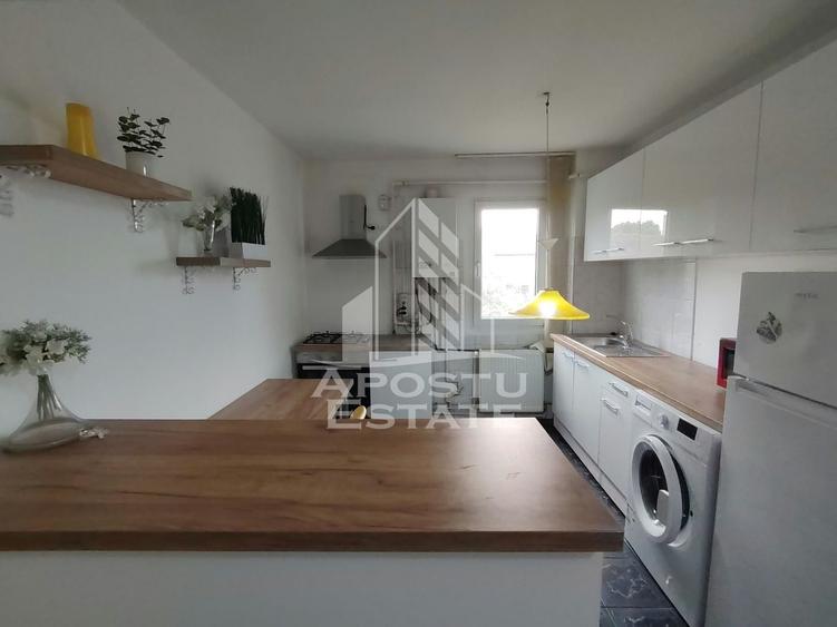 Apartament cu 2 camere nedecomandat în Take Ionescu