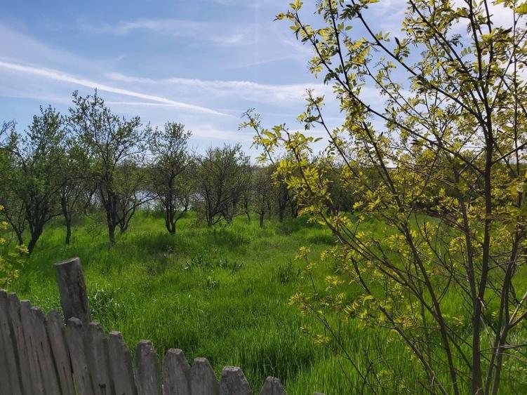 Casă cu 3 camere cu Teren 2474 Mp în Săpata