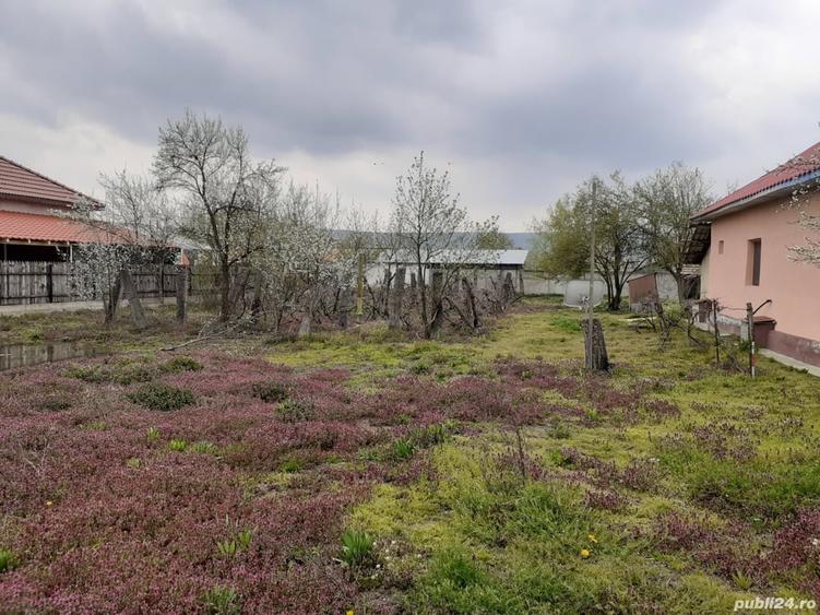 Casă cu 3 camere cu Teren 2500 Mp în Butoiești