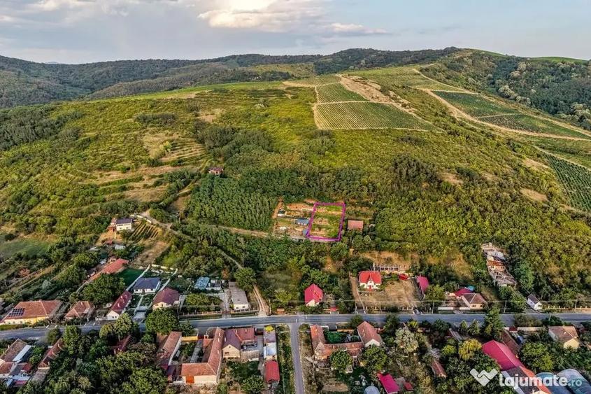 Teren în Miniș