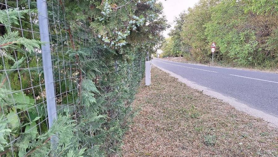 Teren de 5500 mp, în Poiana Tășad