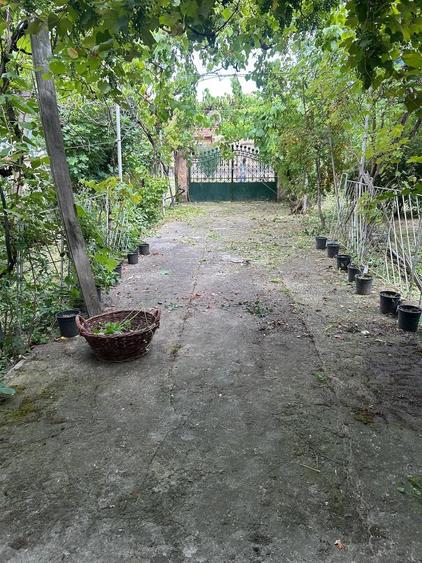 Casă cu 4 camere cu Teren 3500 Mp în Ficătar