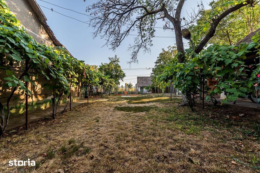 Casă cu 3 camere cu Teren 3950 Mp în Dorobanți
