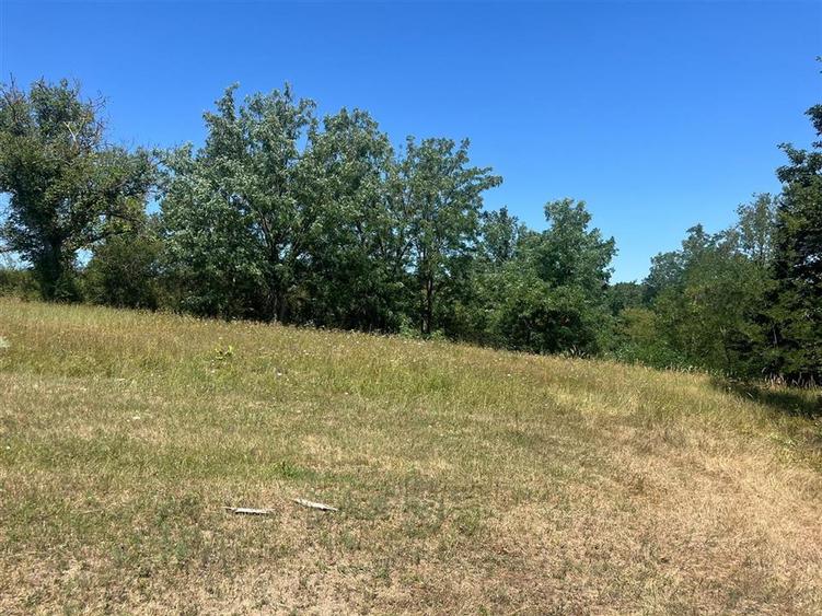 Teren agricol extravilan de 21300 mp, în Lăzăreni