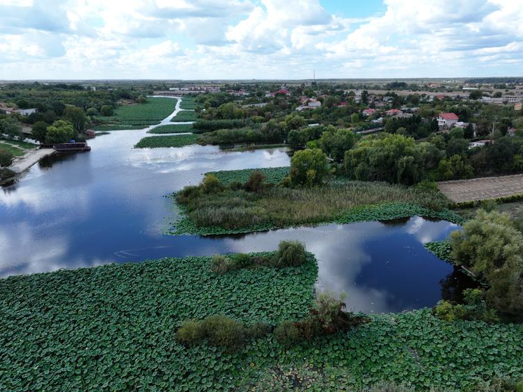 Casă cu 7 camere cu Piscina în Snagov