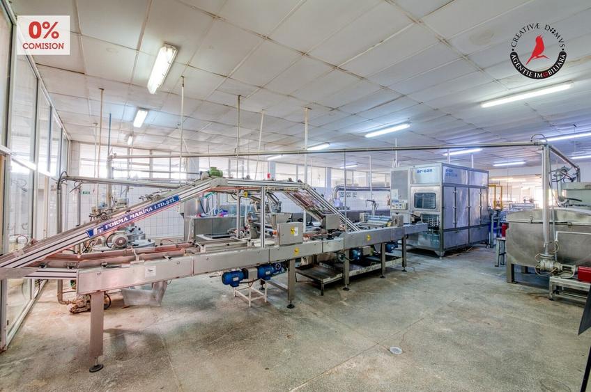 Spațiu industrial, în Frătești