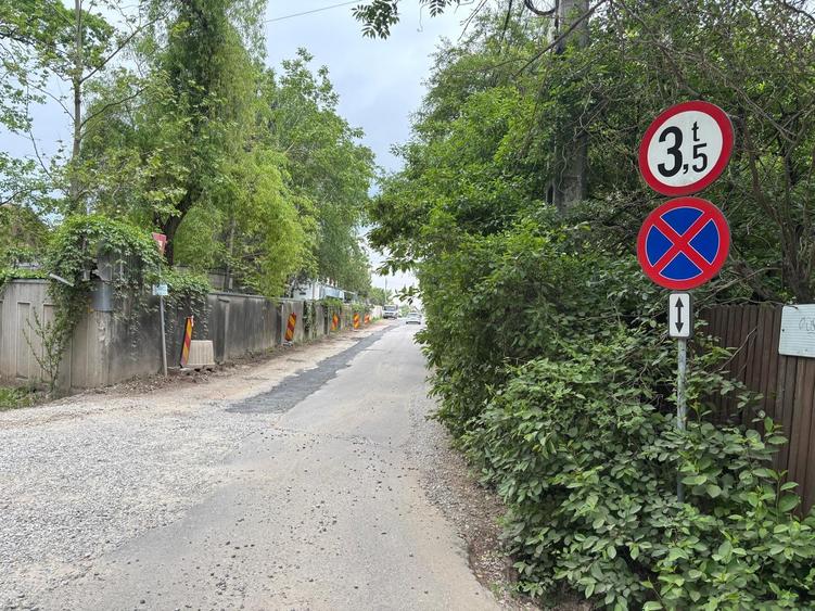 Teren 1000 mp în Mogoșoaia, la 5 minute de pădure - 17