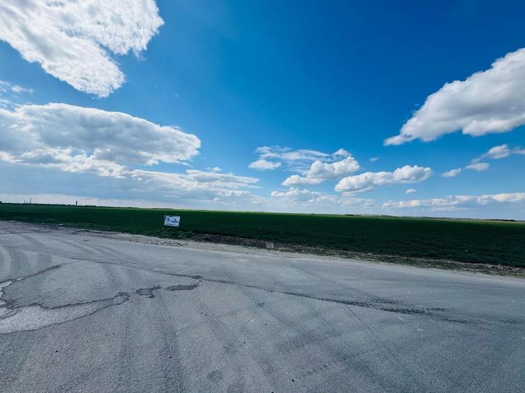 Teren agricol extravilan de 17700 mp, în Biharia