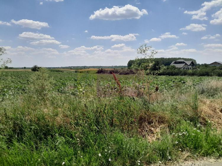 Teren Construcții intravilan de 16500 mp, în Teișori