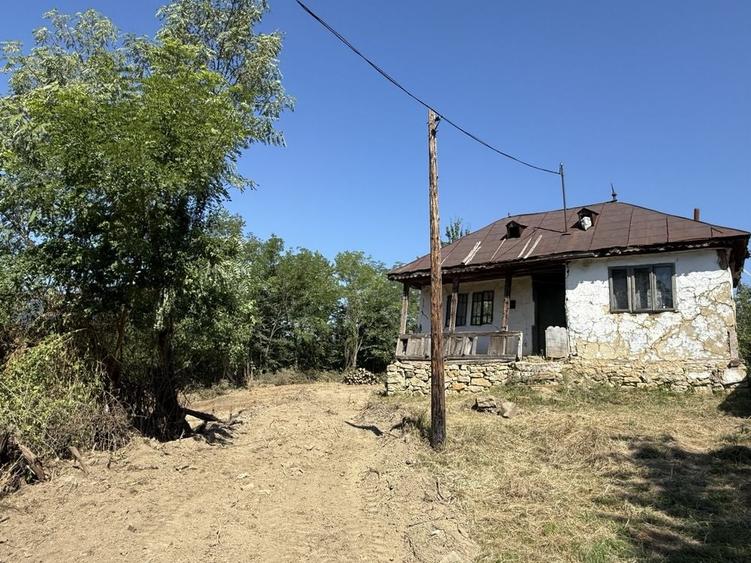 Teren de 1000 mp, în Pănătău
