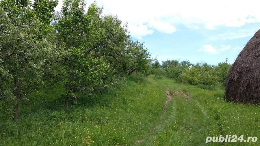 Teren de 20000 mp, în Gura Bărbulețului