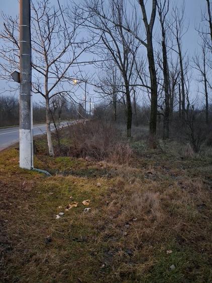 Teren intravilan in Buftea,pret avantajos ! - 1