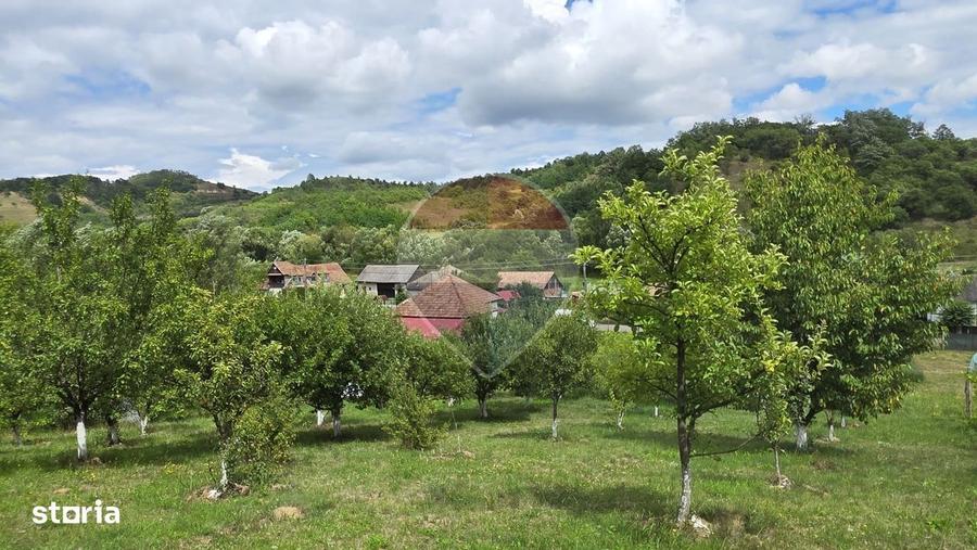 Casă cu 2 camere în Elciu