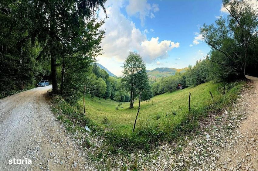 Teren investitie 8635 mp extravilan , Pestera Brasov - 6