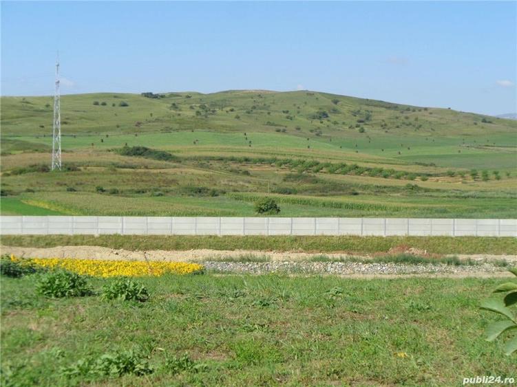 Teren de 5500 mp, în Stejeriș