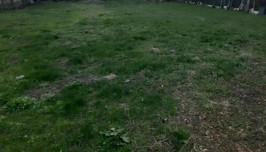 Teren de 1000 mp, în Lunca Cetățuii