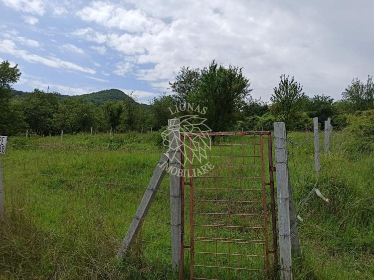 Teren agricol extravilan de 1000 mp, în Nord