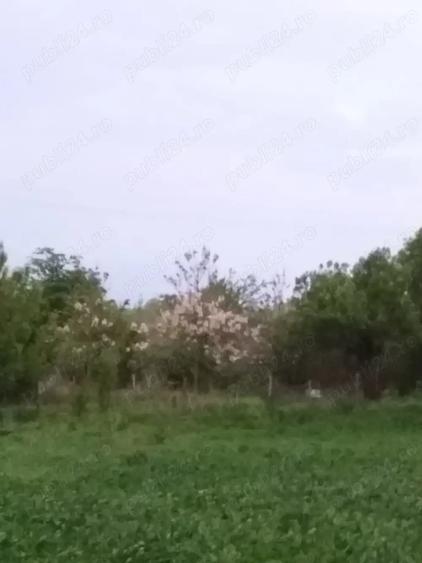 Teren de 3400 mp, în Central