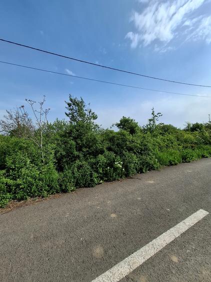 Teren Construcții intravilan de 3300 mp, în Vlădiceasca